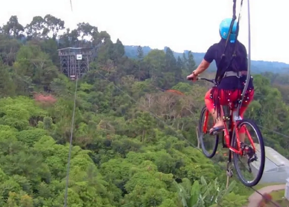 Zipline Adventure 1